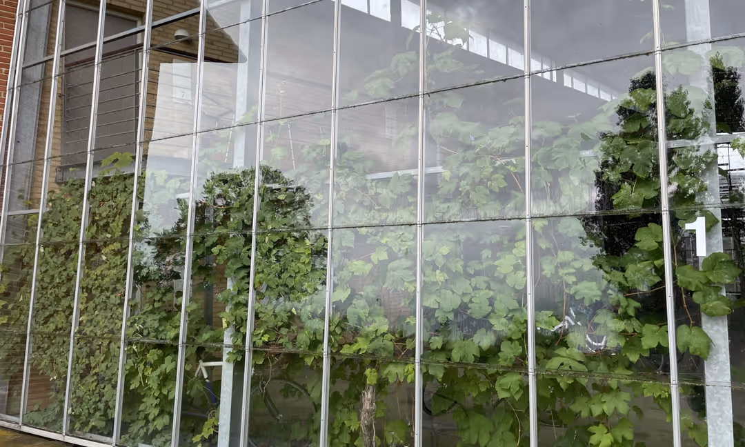 Billede 2 fra lejemålet på Rapsmarken 1, 5260 Odense S