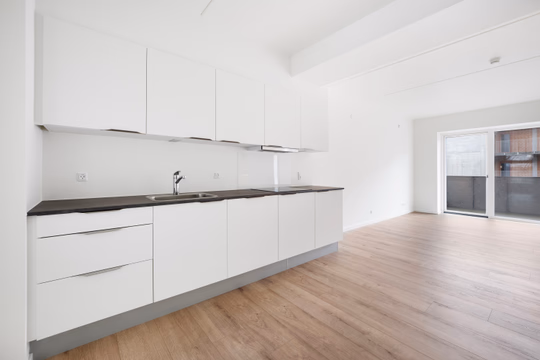 Rental at Vilhelm Ehlerts Alle, 8800 Viborg