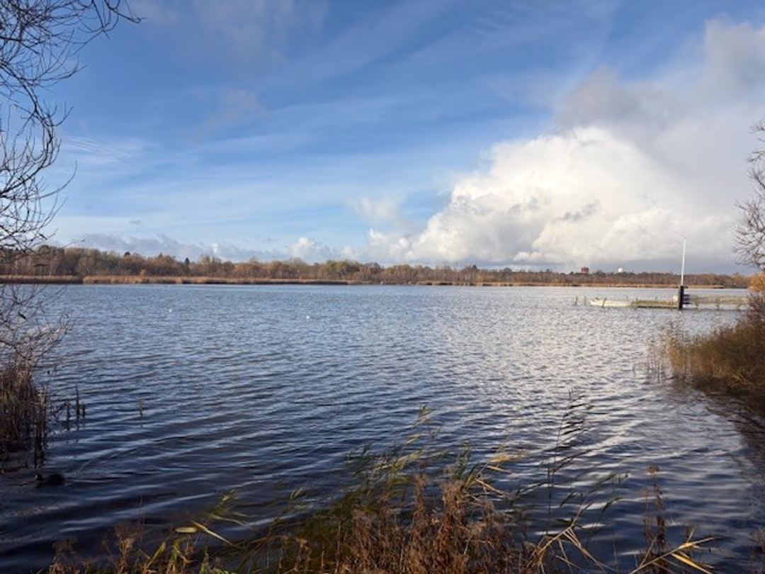 Billede 5 fra lejemålet på Søgårdsvej 16, 2920 Charlottenlund