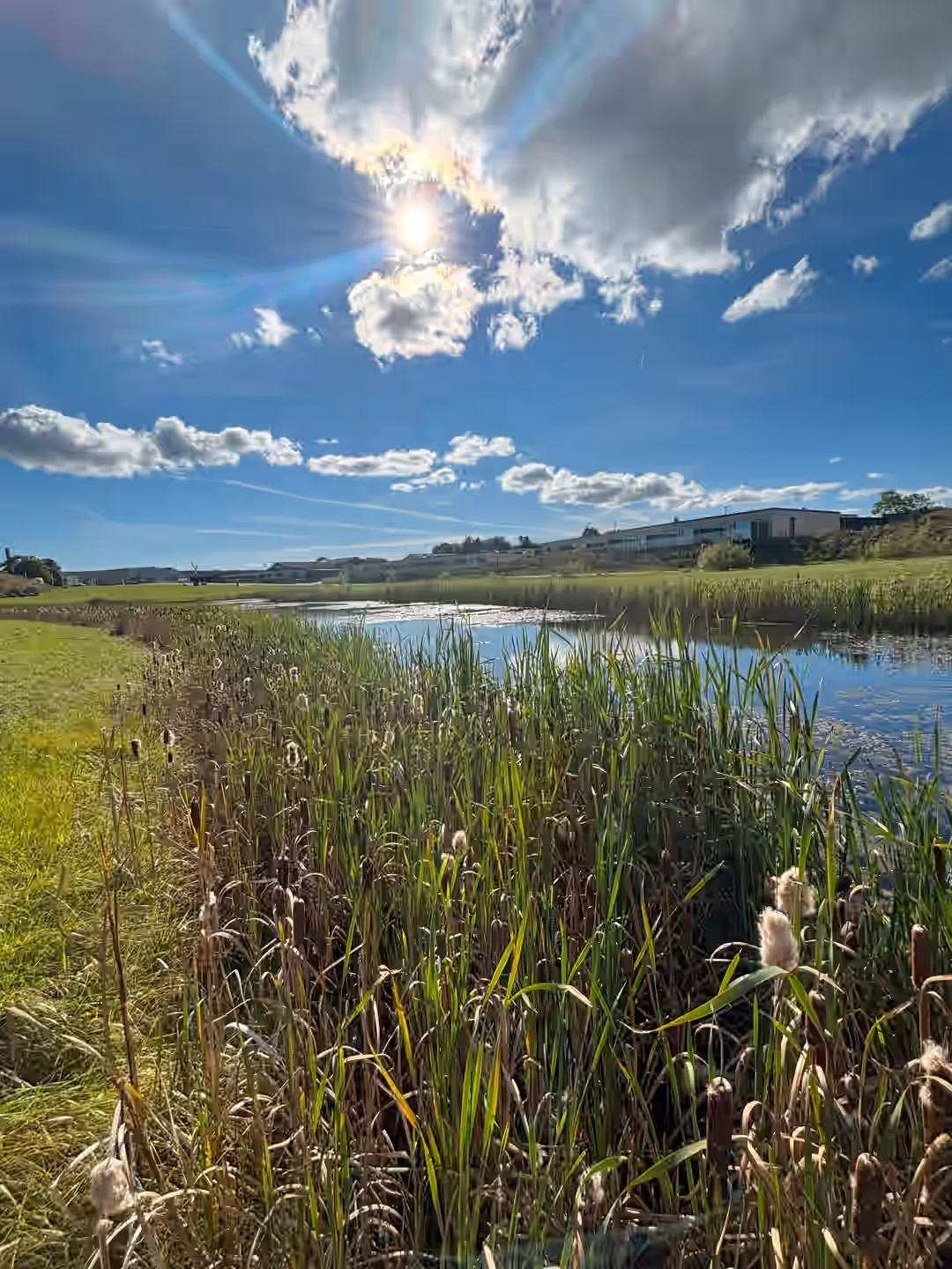 Billede 2 fra lejemålet på Remmerslund Skovby 42, 8722 Hedensted