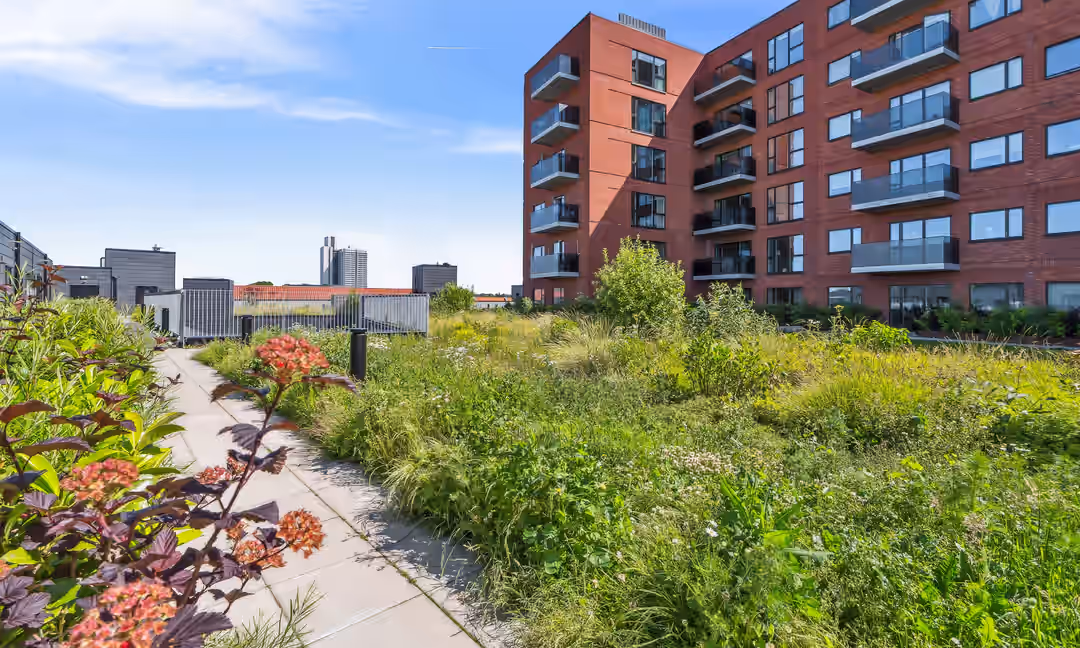 Billede 1 fra lejemålet på Herlev Torv 24E, 2730 Herlev