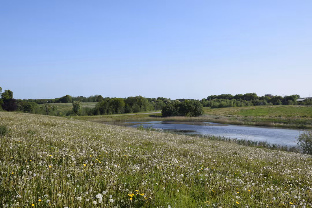 Billede 5 fra lejemålet på Ring Søpark 8, 8740 Brædstrup