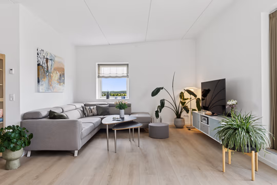 Billede fra lejemålet på Maglebjerget, 4700 Næstved