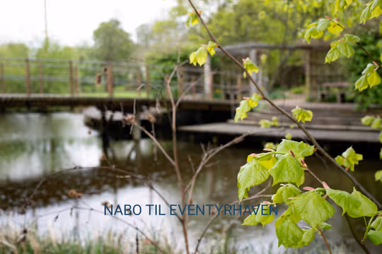 Billede fra lejemålet på Torvegade, 5000 Odense C Billede fra lejemålet på Torvegade, 5000 Odense C